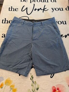 O'neill Men's Blue Shorts Size 34